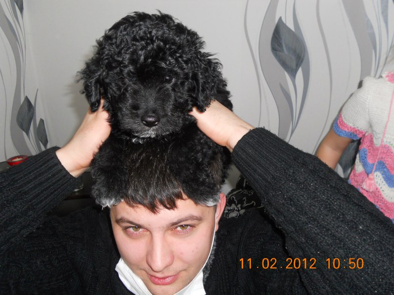 Борис Гришагин Владимирович | Димитровград