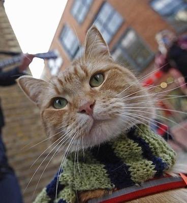 Алекс Риманов | Чебоксары