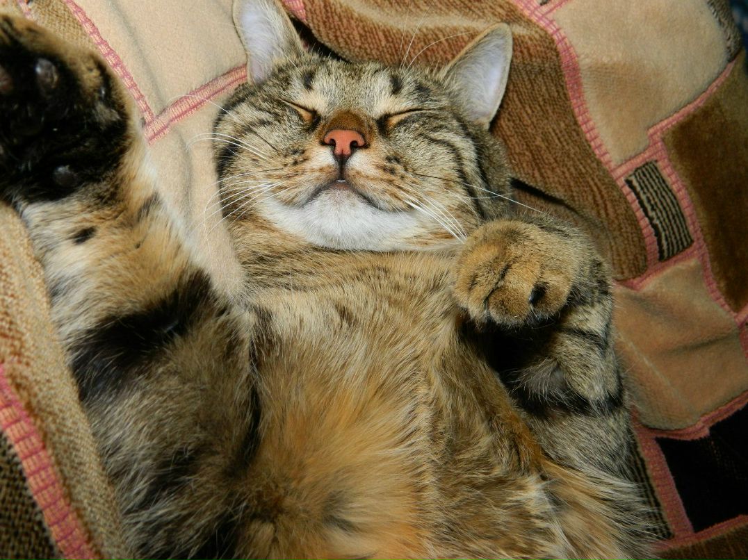 Серёжа Ермолов | Ульяновск