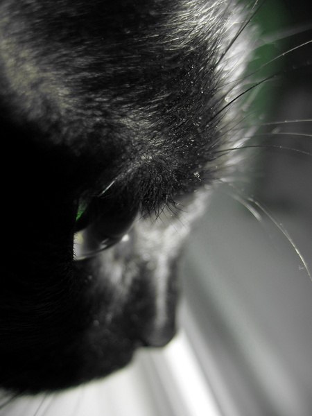 Екатерина Куцык | Казань