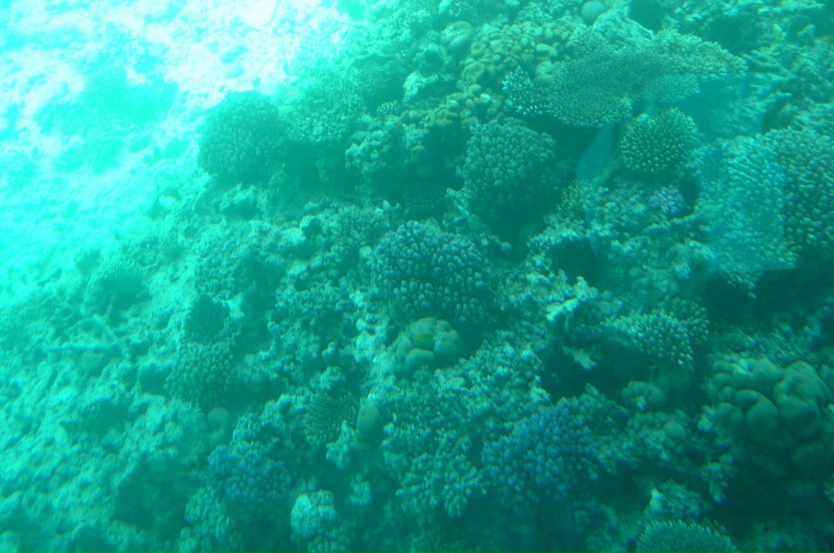 Виктория Сизоненко | Санкт-Петербург