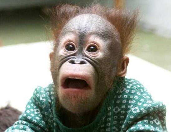 Дато Кобалия | Ростов-на-Дону