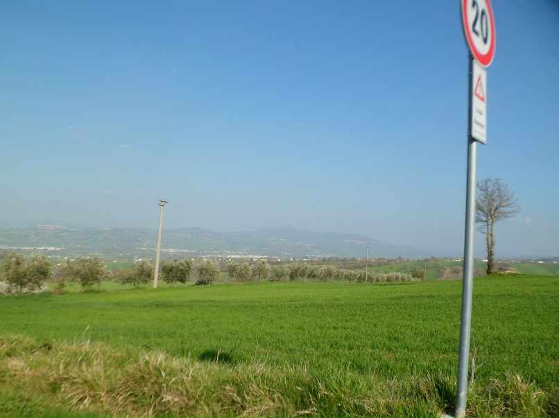 Андрій Хома | Тернополь