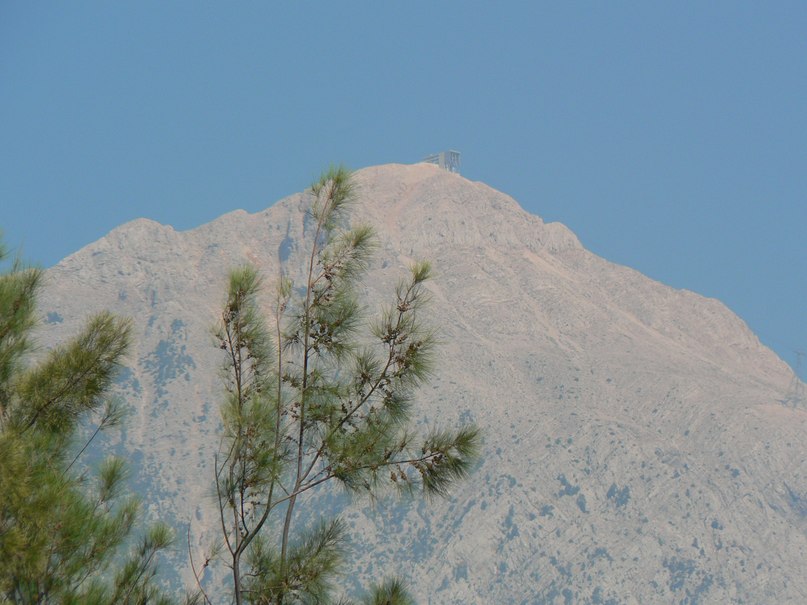 Анна Сенькович | Ромны