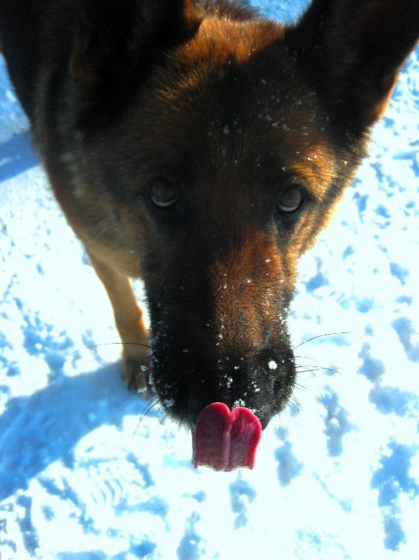 Лиза Смалёха | Moriches