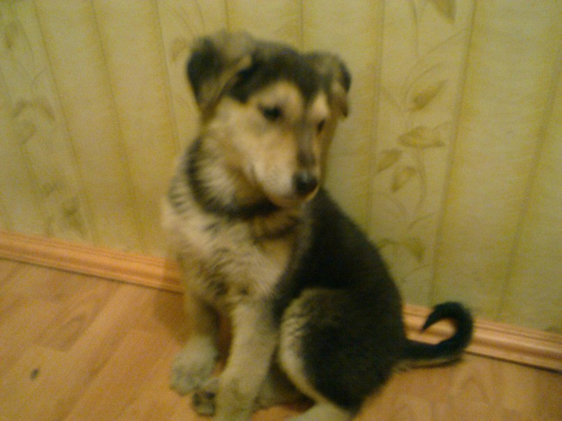 Екатерина Корнилова | Екатеринбург