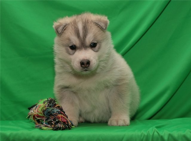 Тёма Михайлец | Кривой Рог