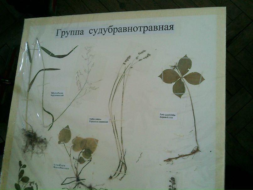 Мария Язовских | 