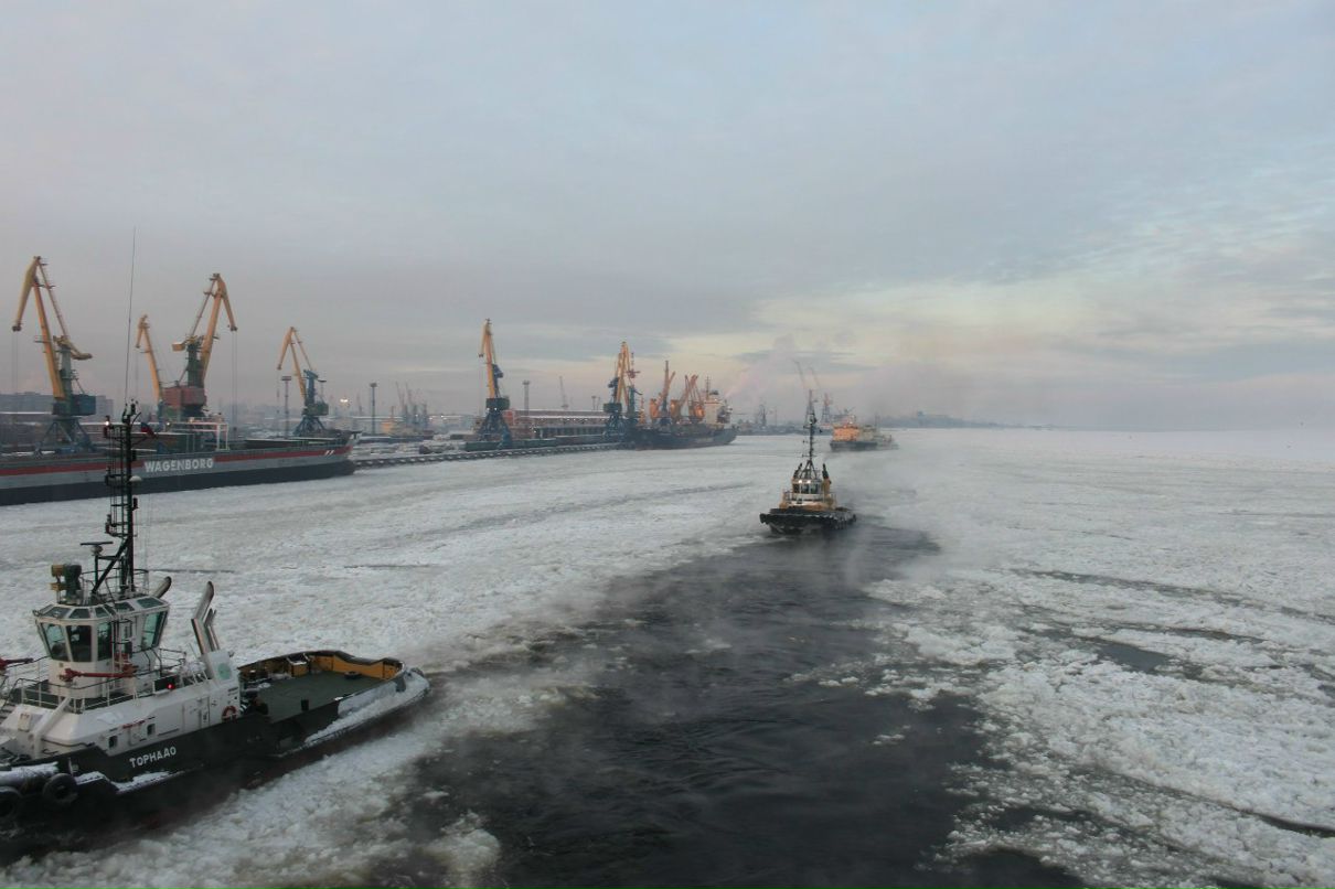 Саня Халевин | Санкт-Петербург