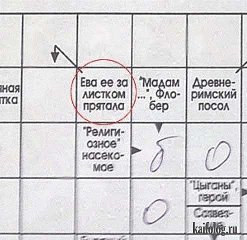 Мишаня Пикалов | Санкт-Петербург