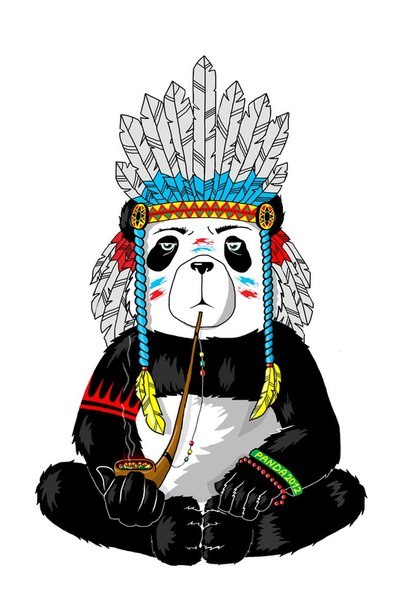 Алексей Васильев | Архангельск