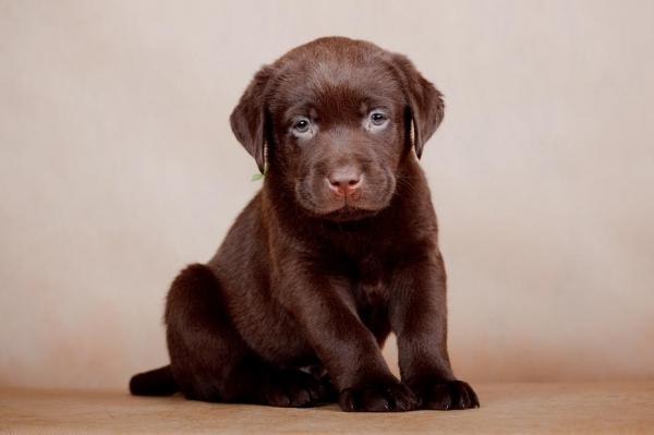 Иван Иванов | Ханты-Мансийск