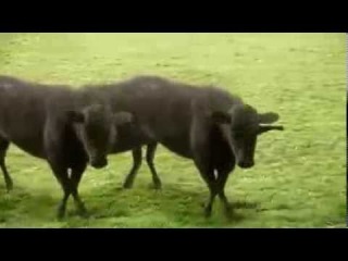 накуренным не смотреть