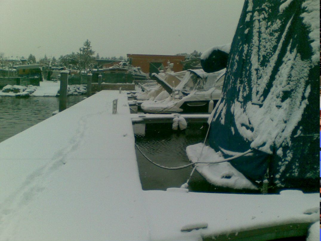 Костя Давидович | Сумы