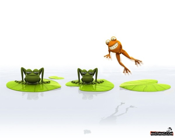 №31, Олинька Кальницкая, Киев №31, Олинька Кальницкая, Киев