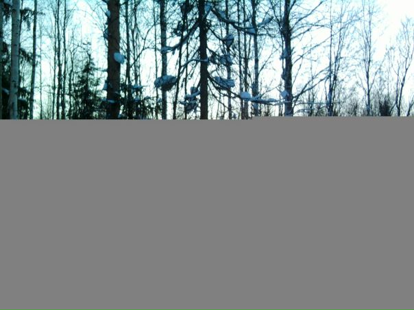 №86, Наталья Полева, Санкт-Петербург №86, Наталья Полева, Санкт-Петербург