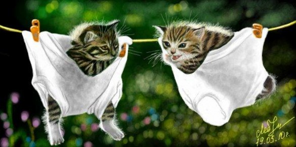 №2, Dr Khan №2, Dr Khan