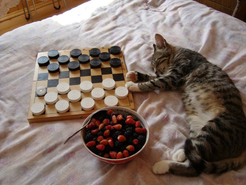 №69, Сергей Бояркин, Люберцы №69, Сергей Бояркин, Люберцы