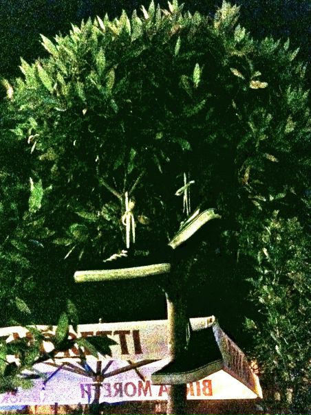 №130, Анна Bay, 20.2.1985 №130, Анна Bay, 20.2.1985