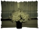 Фотография Виктория Товпинец
