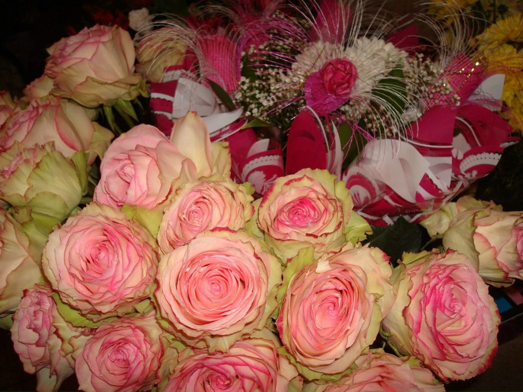 Надежда Сидорова | Петроград