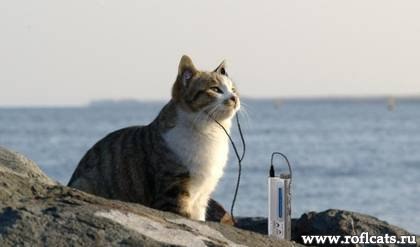 №80, Олег Горбатенко, 44 года №80, Олег Горбатенко, 44 года