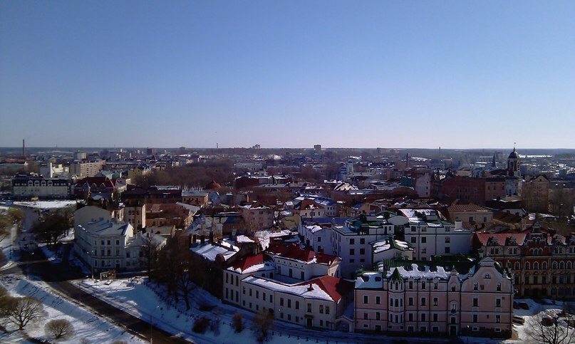 Дмитрий Раудин | 