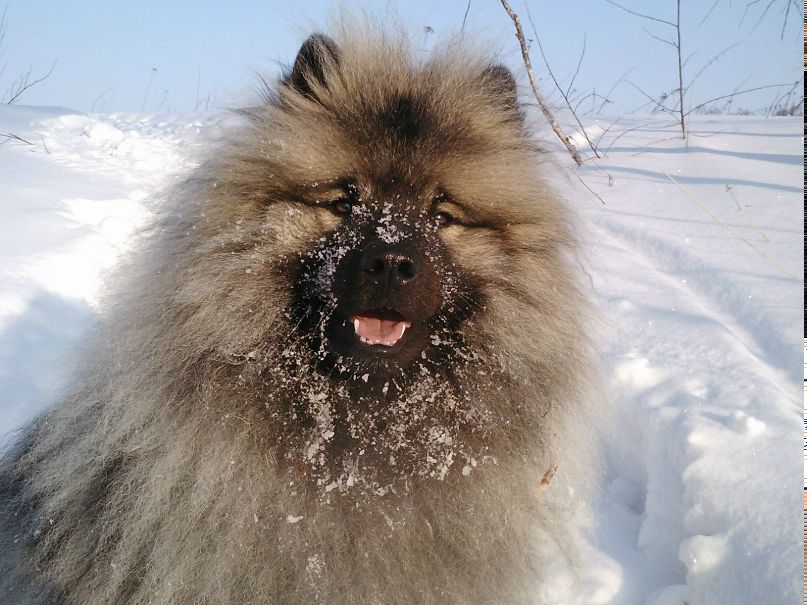 Лариса Усынина larik | Нащекино