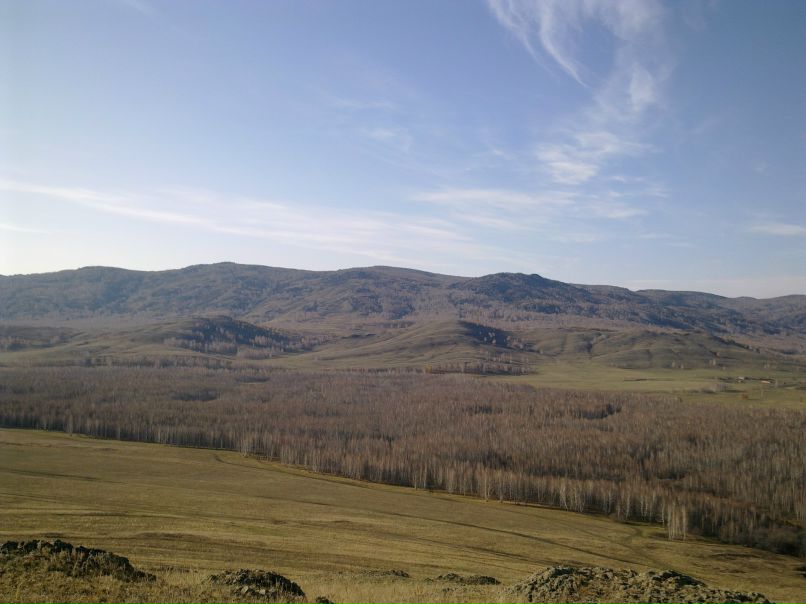 Стёпа Настечкин | 