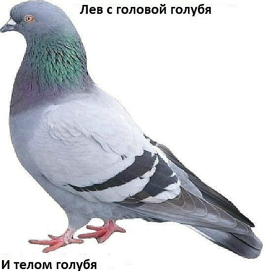 Аня Никуленкова ೠѼೠ | München