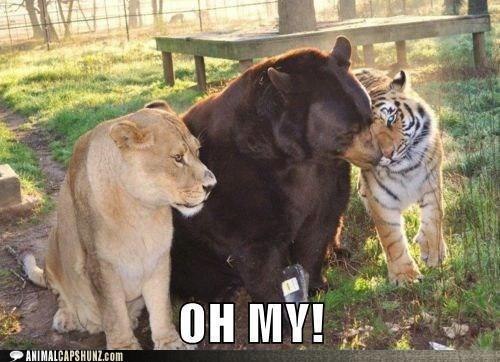 Елена Иванова | Мурманск