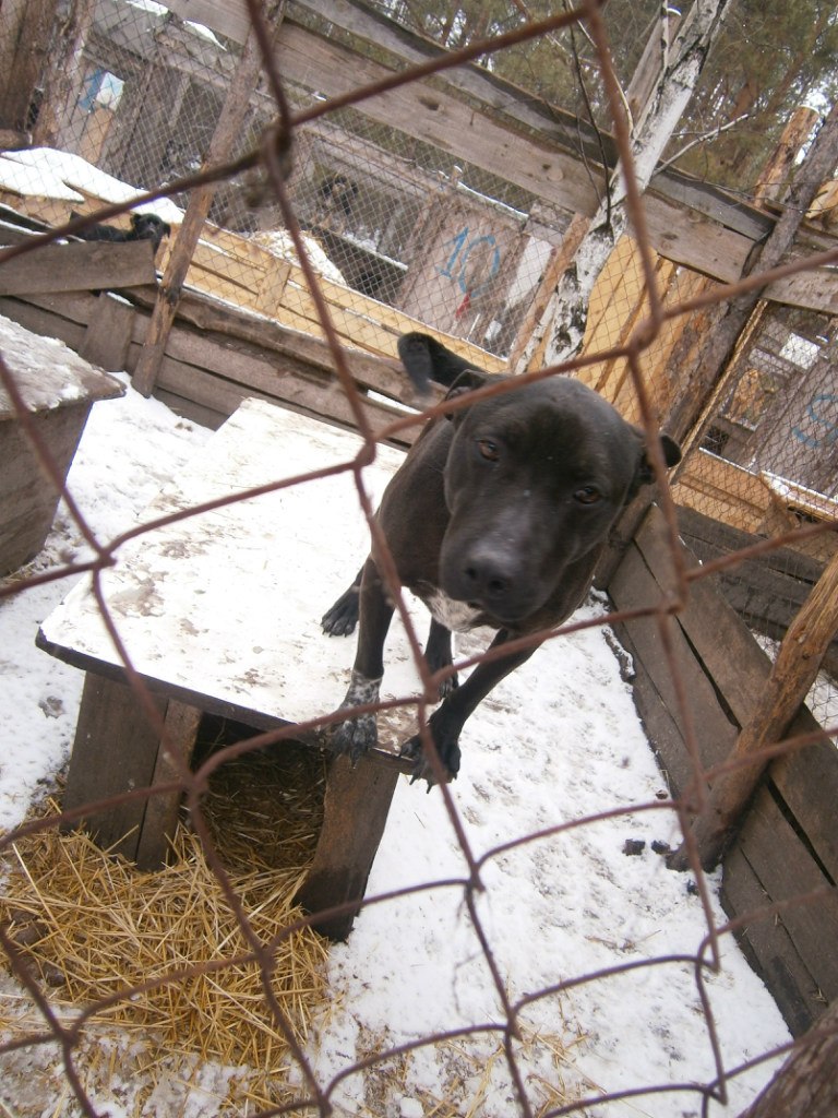 Олександр Брижко | Киев