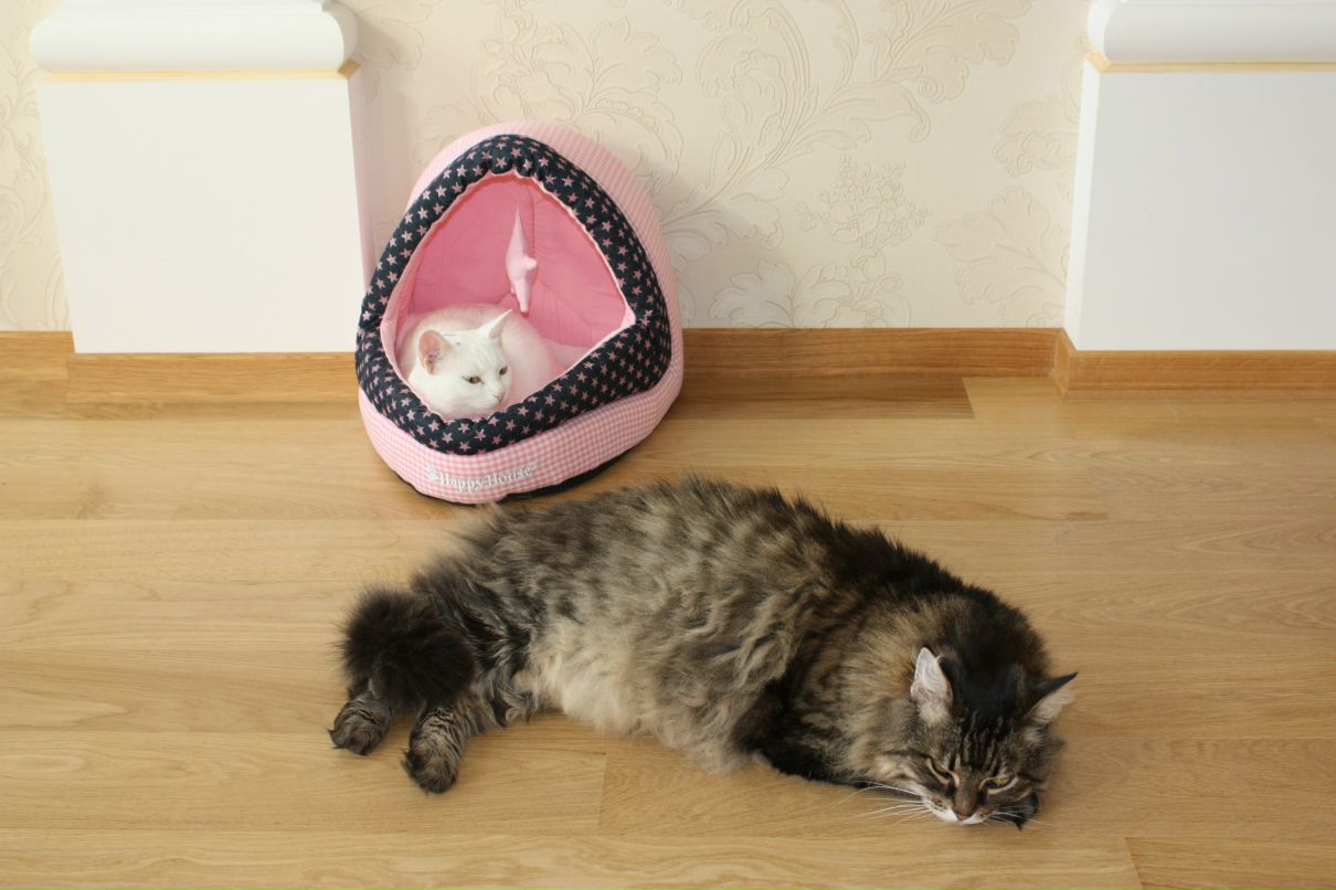 Виктория Победа | Санкт-Петербург