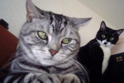 Антон Бабак | Днепр (Днепропетровск)