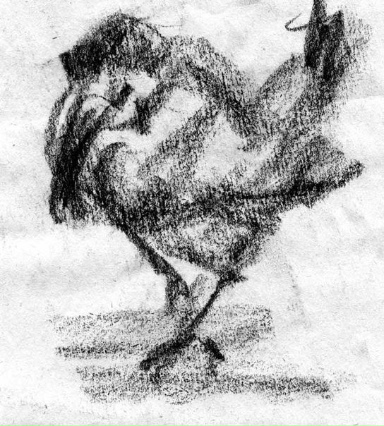 №53, Александр Чумак, 34 года, Полтава №53, Александр Чумак, 34 года, Полтава