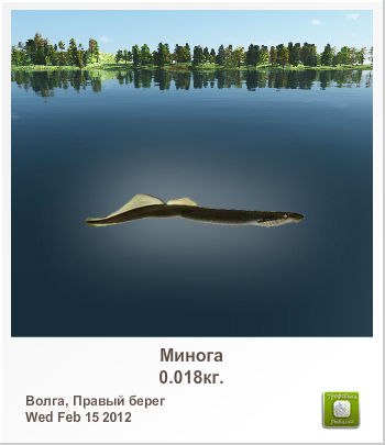 Сергей Осколков $$$ Oskolych уши надеру$$$ | Санкт-Петербург