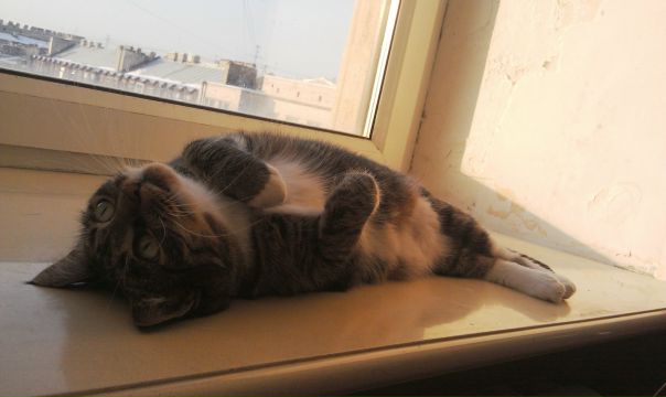 №102, Ася Добина, Eilat №102, Ася Добина, Eilat