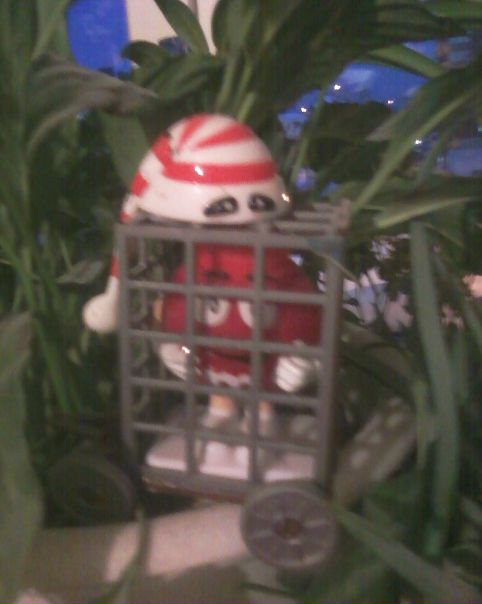 №32, Сергей Соколов, 44 года, Советский №32, Сергей Соколов, 44 года, Советский