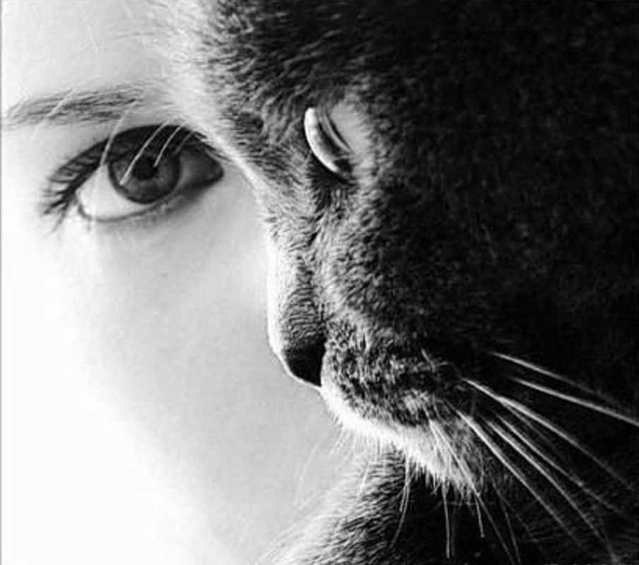 Константин Стригалёв 