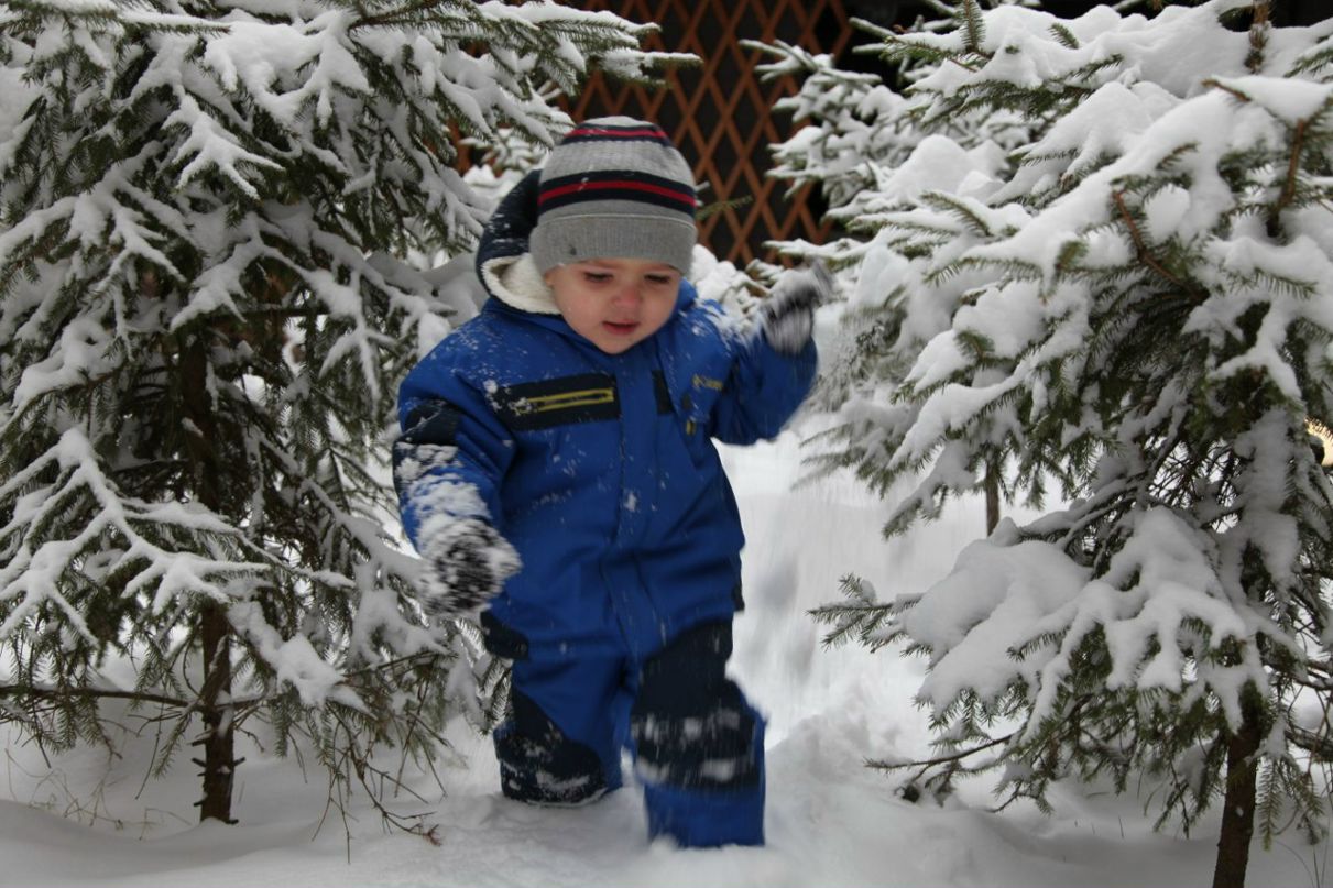 Анастасия Соколова Falconet | Санкт-Петербург