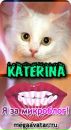№14 Екатерина Кашина 16.11: профиль, фото, статус - ВКонтакте №14 Екатерина Кашина 16.11: профиль, фото, статус - ВКонтакте