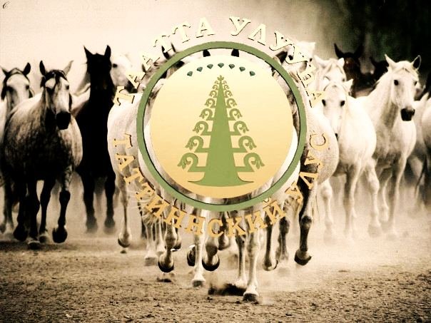 №16, Егор Черосов, Boston №16, Егор Черосов, Boston