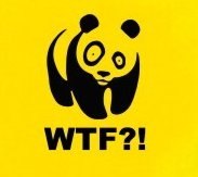 Василиса Загоровская | Москва