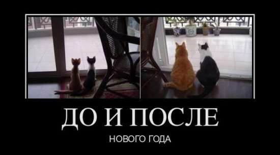 Саня Тимченко | Сумы