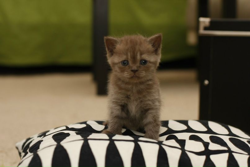 Оксана Морозова | Санкт-Петербург