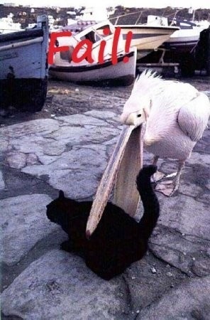 №54, Макс Алмазов, 39 лет, Минск №54, Макс Алмазов, 39 лет, Минск