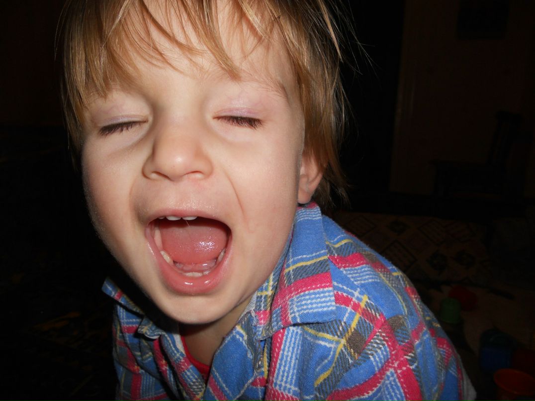 Эмине Кубединова-Погребная | 