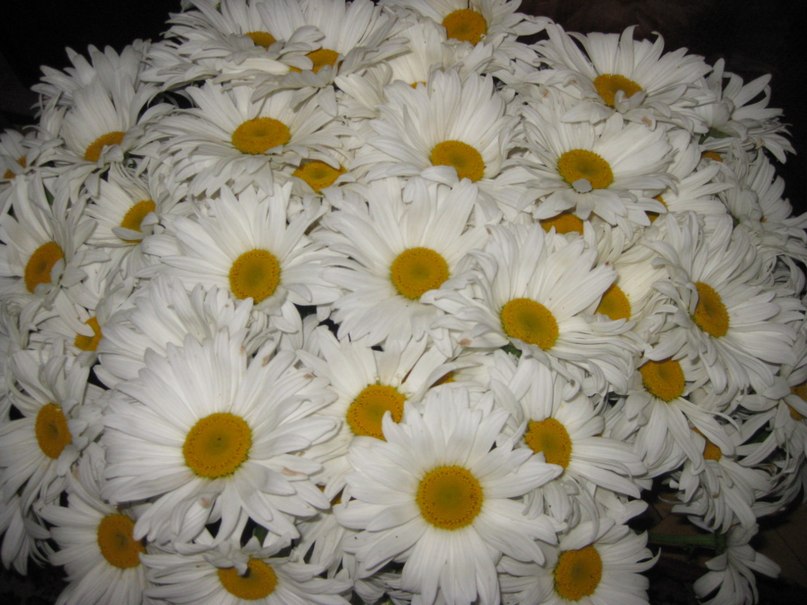 Людмила Марченко | 