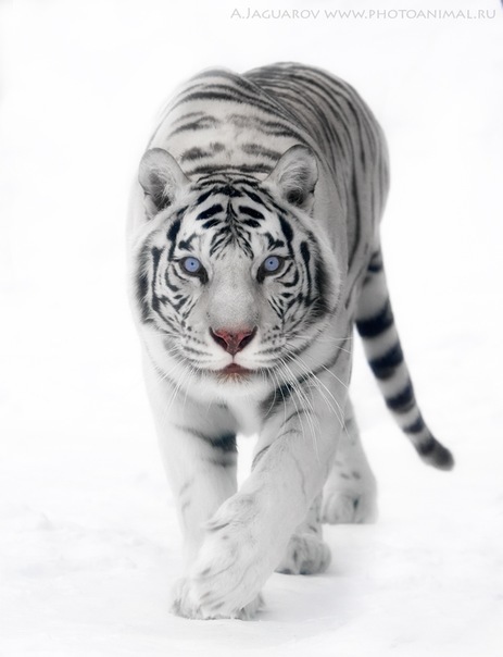№3, Богдан Слободянюк, Запорожье №3, Богдан Слободянюк, Запорожье