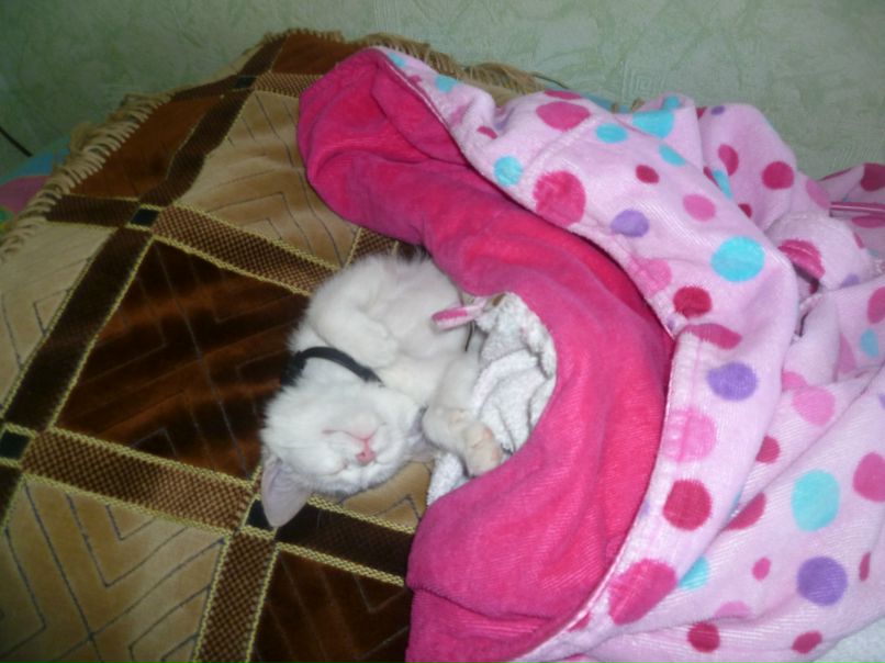 Марина Катюкова | Бердск